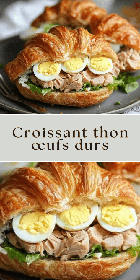 croissant thon œufs durs mayonnaise salade sandwich maison