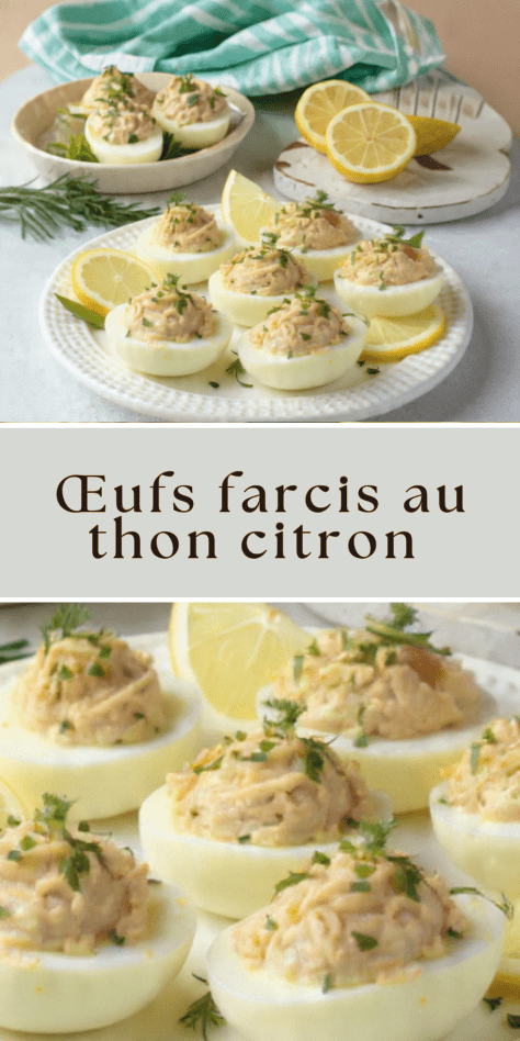 Œufs farcis au thon citron garnis d’une mousse onctueuse et décorés de zeste de citron