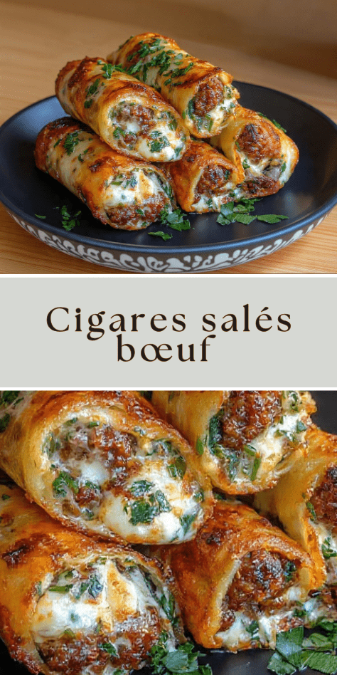 cigares salés boeuf fromage croustillants brick